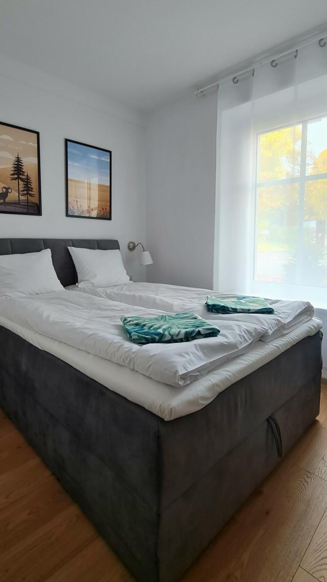 Apartamenty Debowa 3 بولانيكا- زدروي المظهر الخارجي الصورة
