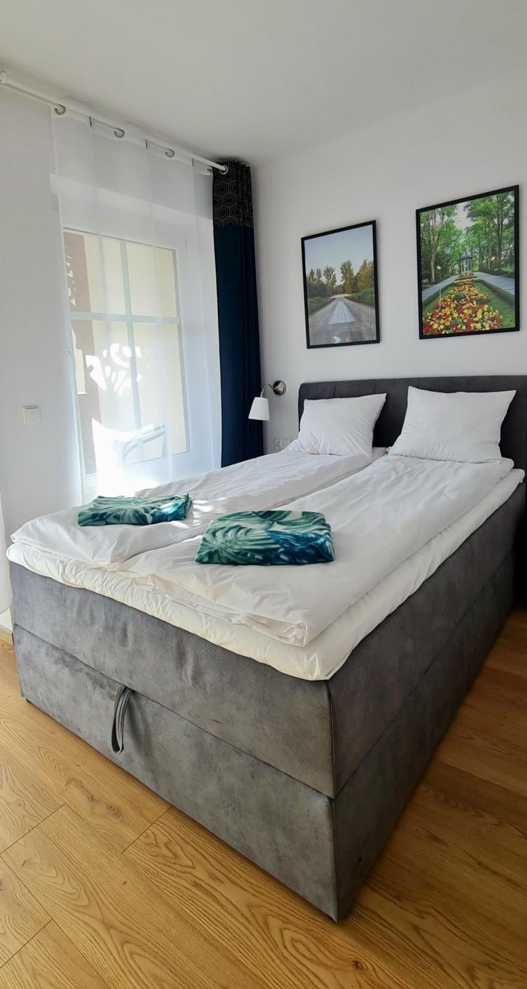 Apartamenty Debowa 3 بولانيكا- زدروي المظهر الخارجي الصورة