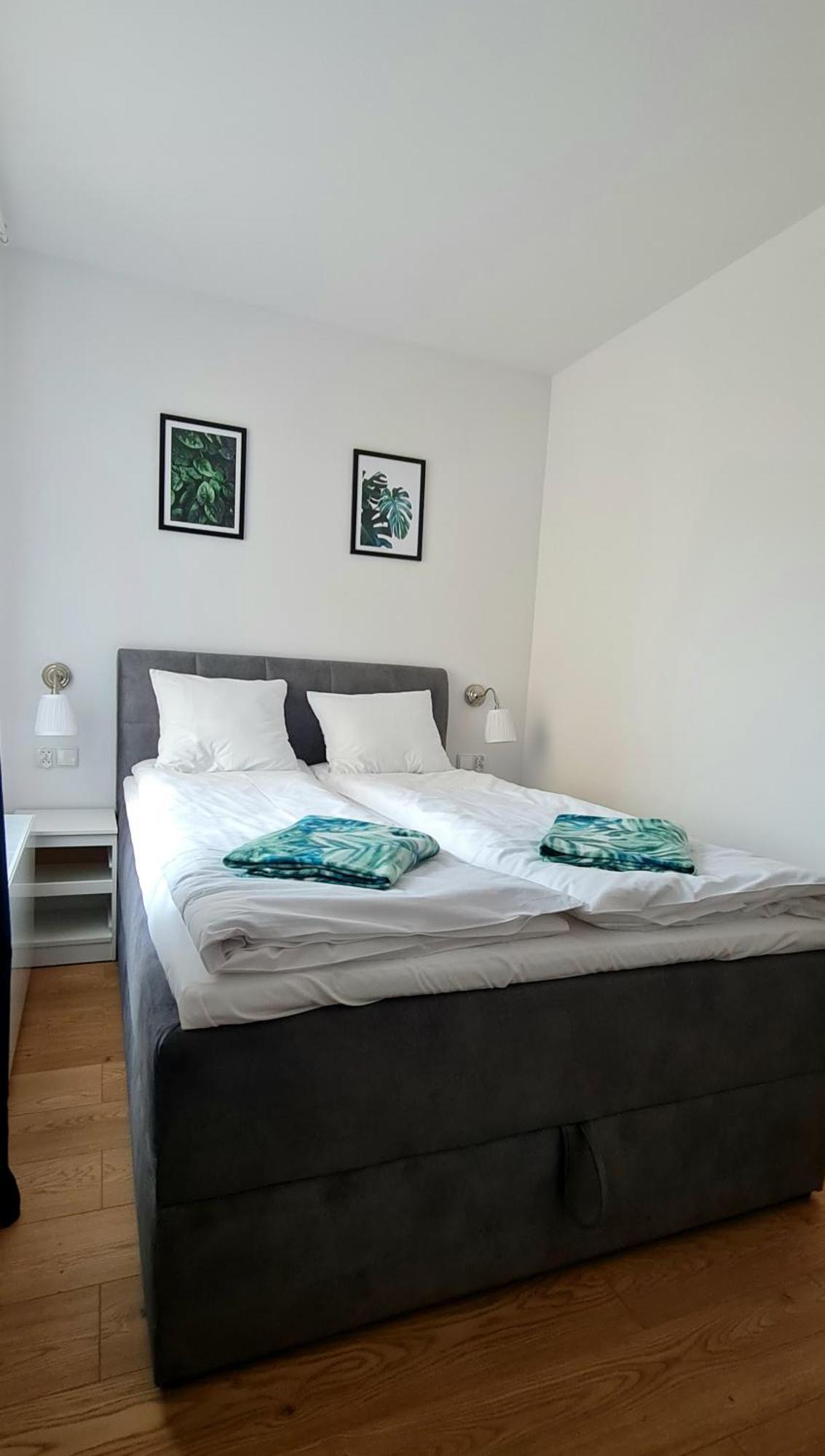 Apartamenty Debowa 3 بولانيكا- زدروي المظهر الخارجي الصورة