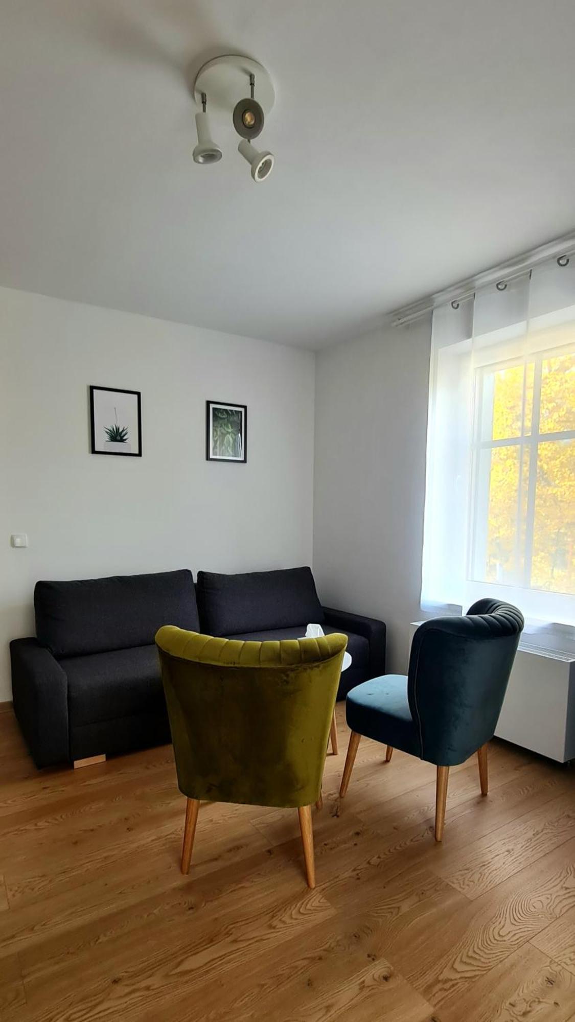 Apartamenty Debowa 3 بولانيكا- زدروي المظهر الخارجي الصورة