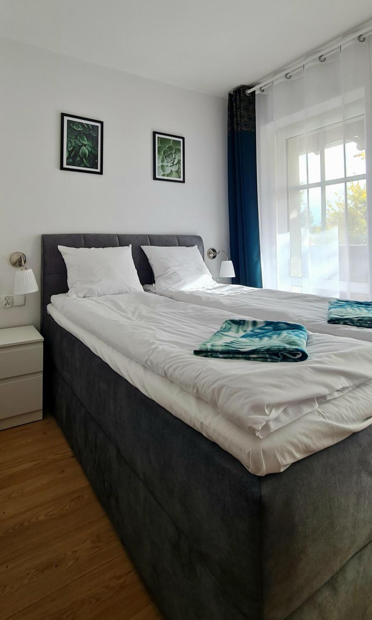 Apartamenty Debowa 3 بولانيكا- زدروي المظهر الخارجي الصورة